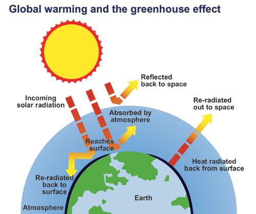 LI 10 Global Warming and the Greenhouse Effect The increasing level of carbon dioxide in the atmosphere is a cause for concern.