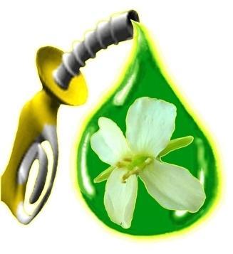 Biofuels Biofuels are considered a viable alternative to fossil fuels. Many different varieties exist and they vary significantly.