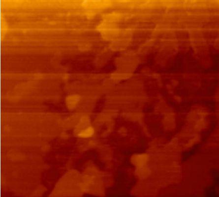 Figure 5 - AFM image of aluminum oxide on silicon dioxide film which has been grown on Si(111) substrate at 500 0 C and 60 minutes oxygen and evaporated Al.