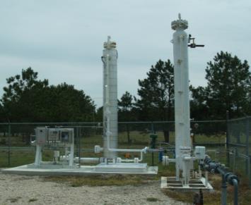 (10 Units) Natural gas