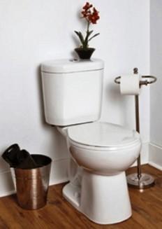 PROFICIENCY Ultra-high efficiency toilet N7717 Ultra high efficiency flush Soft-close seat Life-time