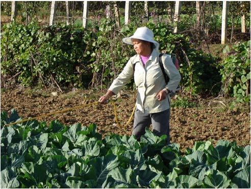 viable Enables farmer livelihood Socially just Benefits small