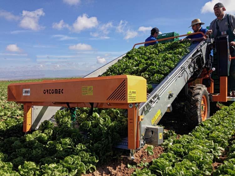 harvesters are able to harvest the product by loading it on the