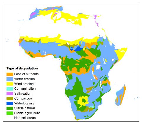 Soil degradation in Africa More than 50% of the total land area is not naturally fertile due to climate and soil Over 22% productive land is affected by soil degradation (loss of OM, salinity,