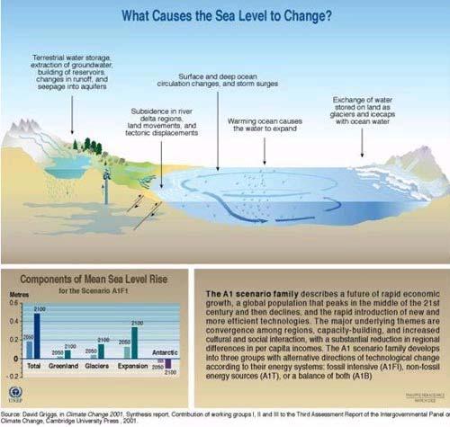 org Factors Responsible for Sea Level Change Eustatic movement of the sea level,