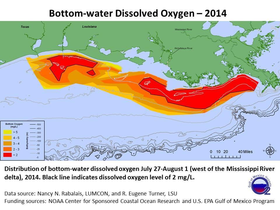 NUTRIENTS THE BIG PICTURE Gulf of Mexico hypoxic zone (Dead Zone) 2017 8,776 square miles Roughly 1.