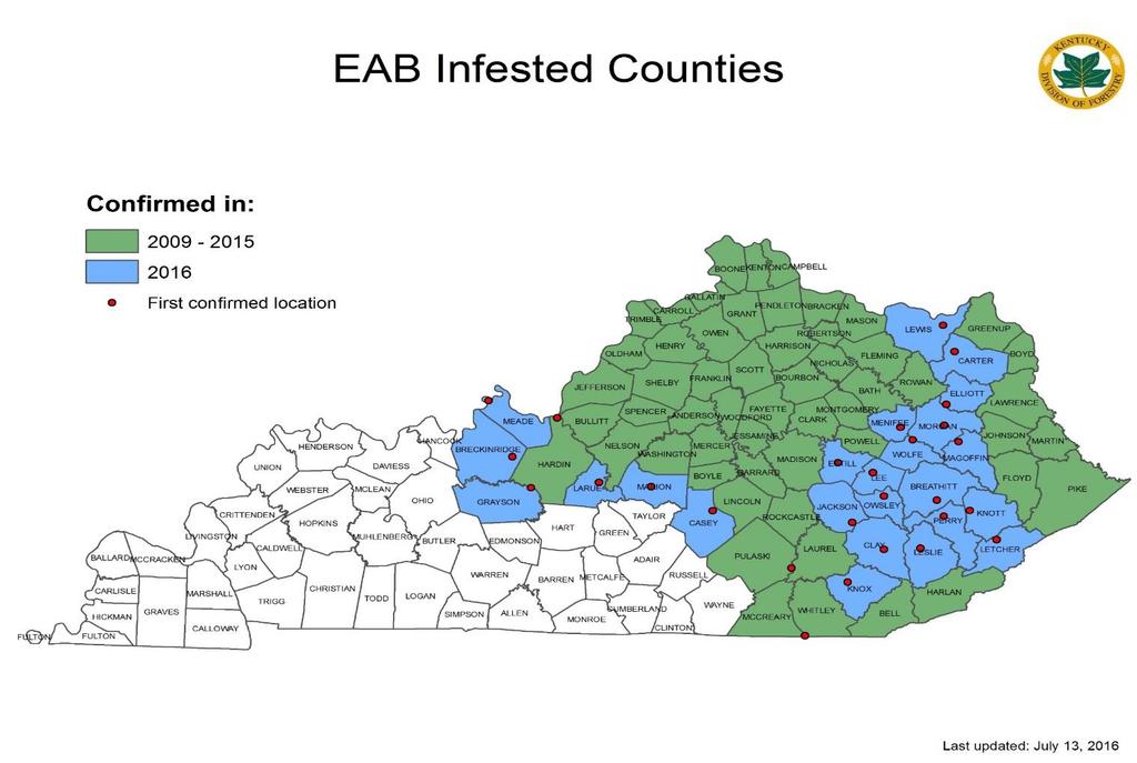 Ash Tree Removal in Bee Rock and Rockcastle Campgrounds 2 U.S. Forest Service and State agencies have been monitoring and detecting new locations of EAB infestations.