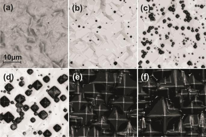 Impact of Si Surface Topography on the Glass Layer Resulting from Screen Printed Ag-Paste Solar Cell Contacts Enrique Cabrera 1, Sara Olibet 1, Dominik Rudolph 1, Joachim Glatz-Reichenbach 1, Radovan