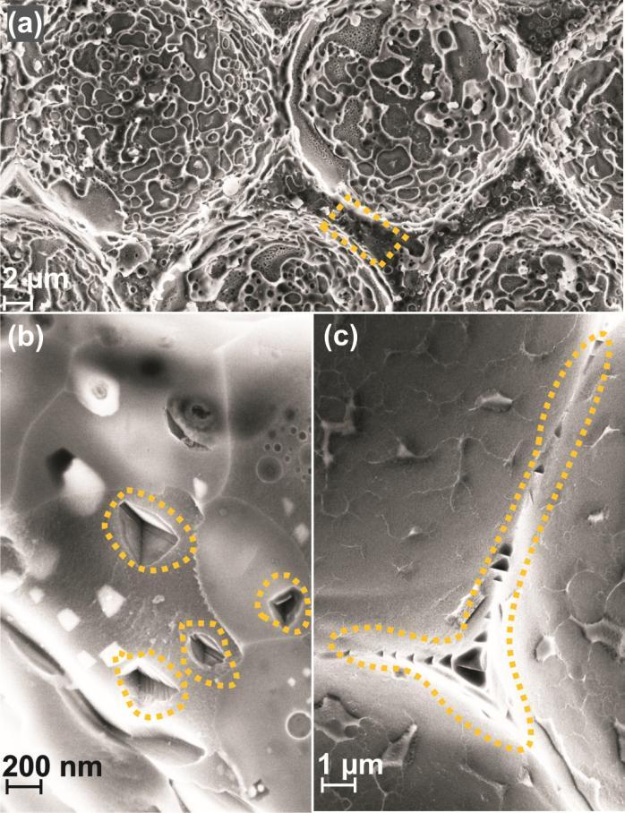 concentrated at the edge of the texture. IV. CONCLUSION Fig. 4. SEM top views mc-si: Ag-finger removal for isotextured (a).