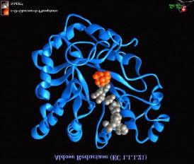 Protein 3D-Structure For successful application Scientific discipline + Technologies Microbiology, Biochemistry, Genetics, Molecular biology, Chemistry &