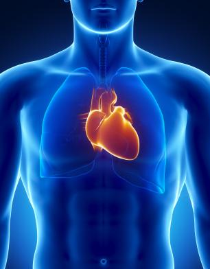 Broad cardiac device experience Cardiac monitoring, implanted and external Cardiac assist devices Cardiac rhythm