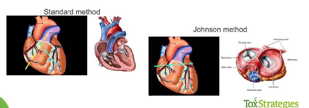 heart Potential damage to fragile heart valves