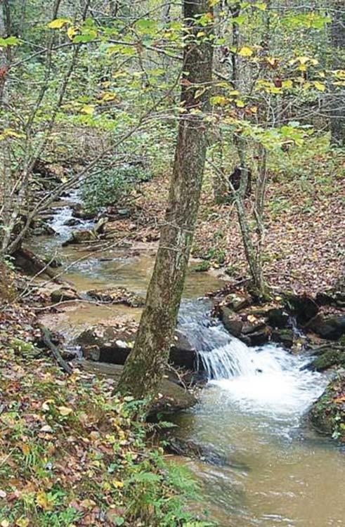North Carolina, Forest-Type Composition Altogether, hardwood forest types comprise 68 percent of North Carolina s timberland, or 12,144,075 acres.