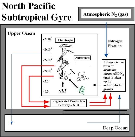 Conclusion Iron limits primary production in high nutrient low chlorophyll (HNLC) regions of the Subarctic Pacific, Equatorial Pacific and Southern Ocean.