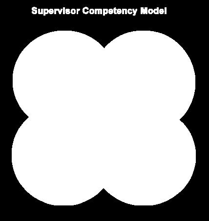 This discussion tool is designed to provide supervisors with a structure in which to explore the competencies, tools, and development opportunities specific to their role.