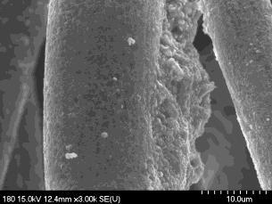 SEM images a) carbon cloth coated with CoWO4.b, c) high magnification images of carbon cloth fiber. The micro structure and morphology were investigated by SEM.