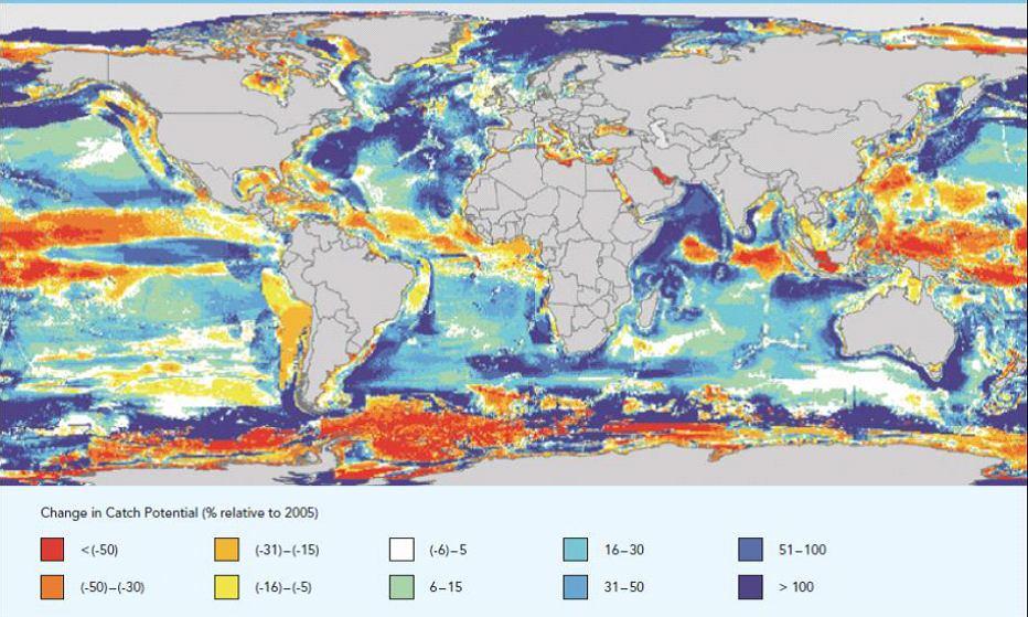 Fisheries Figure 4.13: Changes in catch potential due to climate change Source: Cheung et al, 29 A study carried out by Cheung et al.