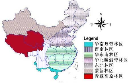 forest ecosystem in China It is very plentiful in