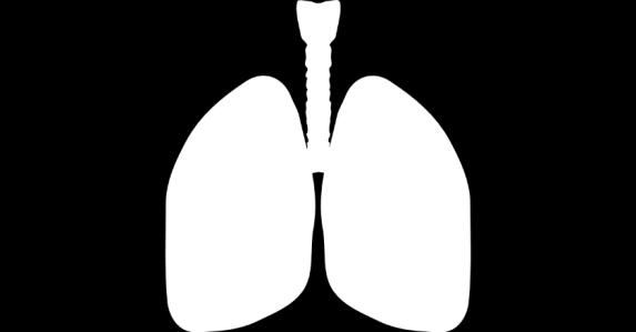Respiratory: -