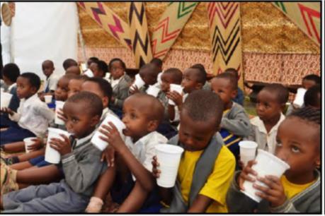 DAIRY VALUE CHAIN DEVELOPMENT INITIATIVES One cup of milk per child - MINAGRI Other dairy value chain
