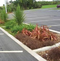 StormTech and Bioret What is a Rain Garden? A shallow depression planted with suitable vegetation which is used to store and possibly treat stormwater runoff from impervious areas.