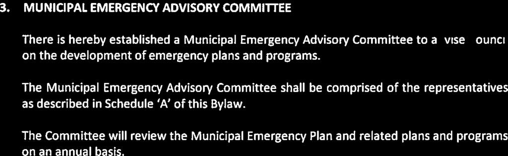 2.14. Municipal Emergency Plan means the plan prepared by the Director of Emergency Management which coordinates response to an emergency or disaster. 215.