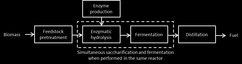 hydrolysis (11).