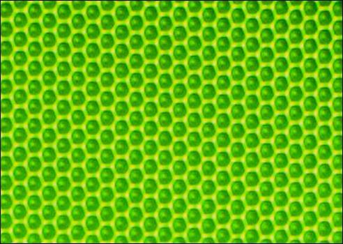 µm; depth: 600 nm Material: PEEK 100.
