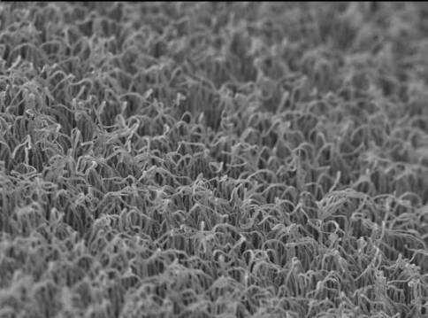 structures are filled completely x2000 10 µm