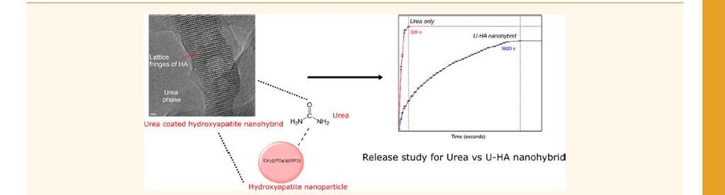 Urea: rich source of nitrogen and a commonly used fertilizer.