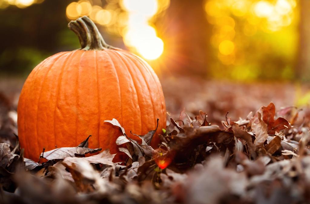 Key Take-Aways The Great Pumpkin, a symbol of strong faith is it worth pursuing it to make money in a digital world?