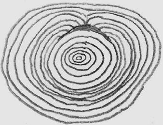 A dark mark surrounded by a group of tree layers that seem to cover over the mark, is considered