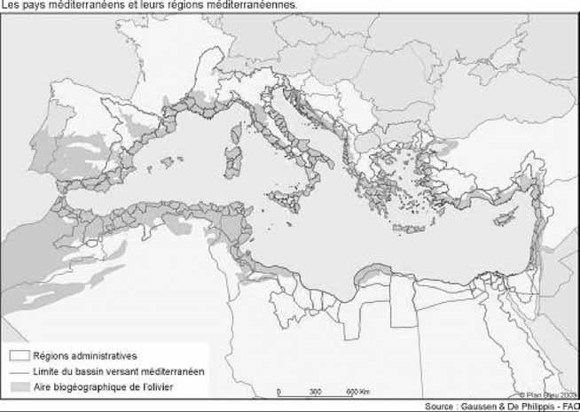 Watershed Management: Water Resources for the Future CHAPTER 6 MEDITERRANEAN WATERSHED MANAGEMENT: OVERCOMING WATER CRISIS IN THE MEDITERRANEAN Luc Dassonville and Luca Fé d Ostiani Plan Bleu, FAO