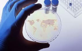 - WHO: About 170,000 deaths in 2012 were caused by multi-drug resistant tuberculosis. Golden era : 1940s to 1960s Nature.