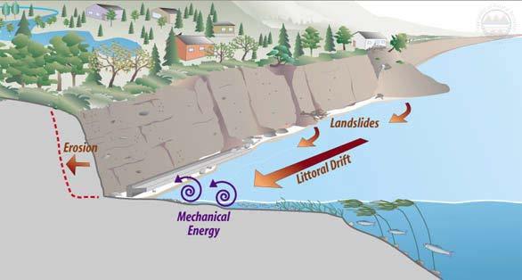 Figure 1-6. Sediment delivery and transport processes - bluff erosion, landslides and littoral drift help to sustain beaches and spits (Source: King County) Figure 1-7.