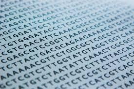 Whole Genome Sequencing -