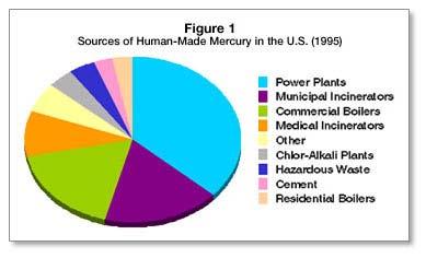 US Mercury emissions Anthropogenic sources of mercury (67%, 80 tons/yr) Coal burning power plants (account for 40% of US anthropogenic emissions) Waste