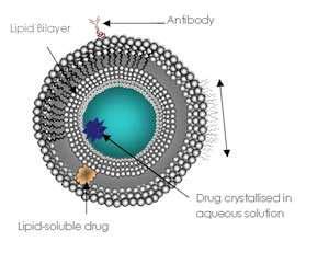 Immobilized Drug Delivery (covalent) Chemical Delivery Systems Lipisomes,