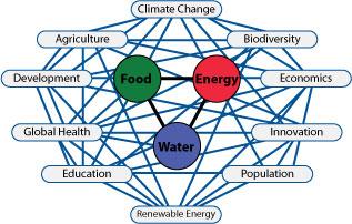 Food, energy, environment (water, climate, biodiversity) nexus The recent history of agriculture = closely tied with a