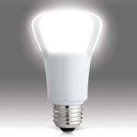 Development, and Manufacturing LED Bulb Major Difference in Lighting R&D (-$4,800,000) LED deployment moved