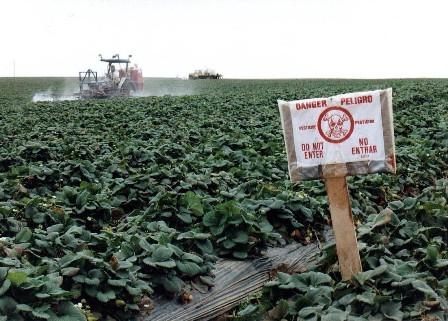 Agricultural Pollutants Pesticides (organic chemical)