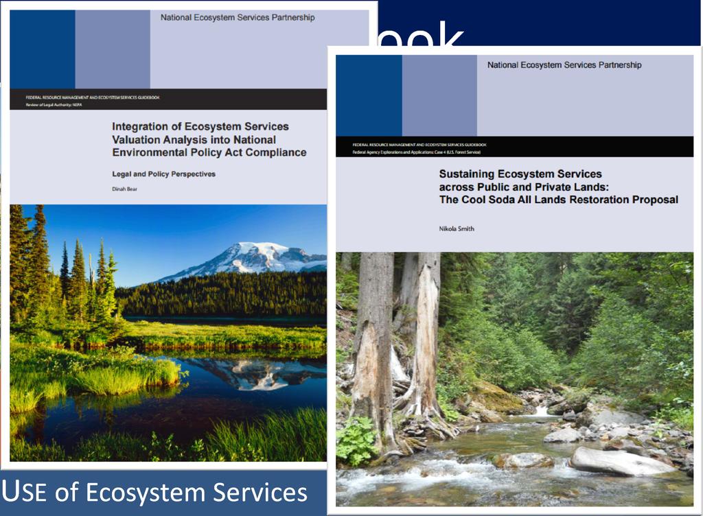 limitations, FAQs EXPLORE AGENCY USE of Ecosystem Services Agency decision contexts and examples THE