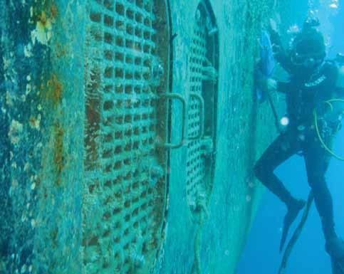 Aquenal and Biofouling Solutions Aquenal and Biofouling Solutions - provides expert scientific services to private and public sector organisations throughout Australia and overseas.