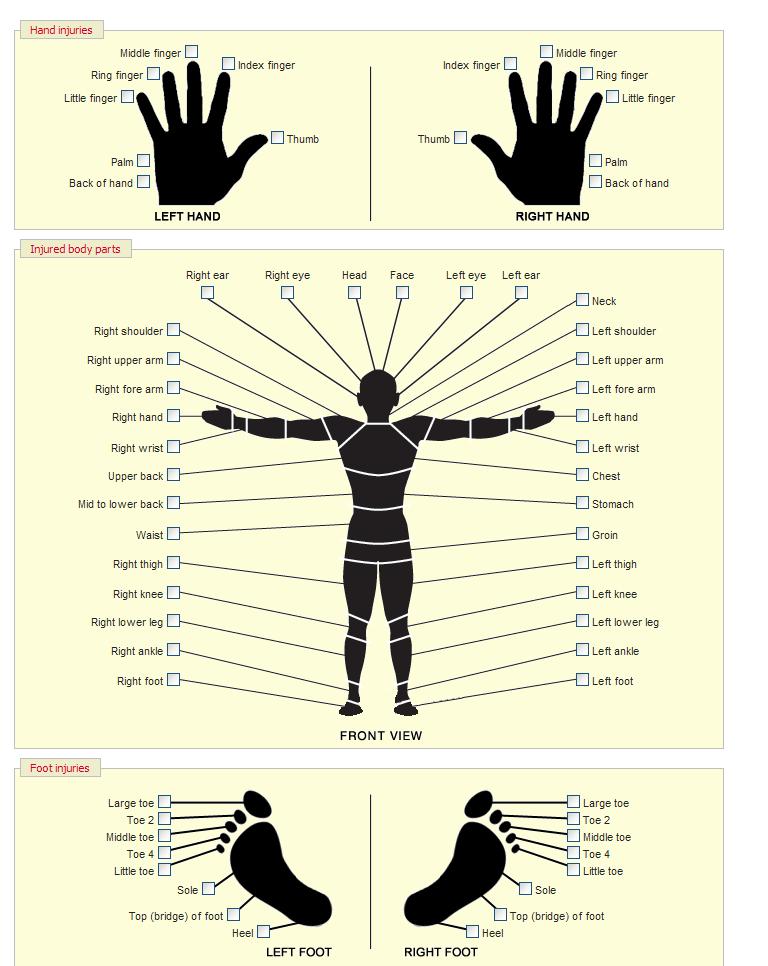 17 Incidents Injury Maps Hand Injuries the Injured body parts