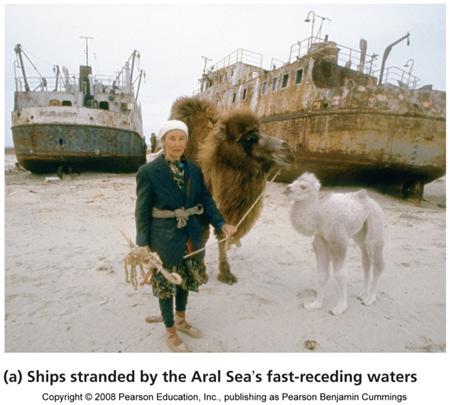 Development of watersaving technologies. Can the Aral Sea be saved?