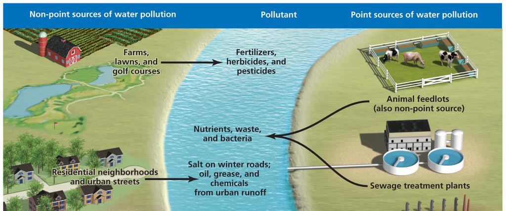 2/29/2016 Physical Water Pollutants Freshwater pollution sources Pathogens: disease causing organisms Organic matter: feces, food