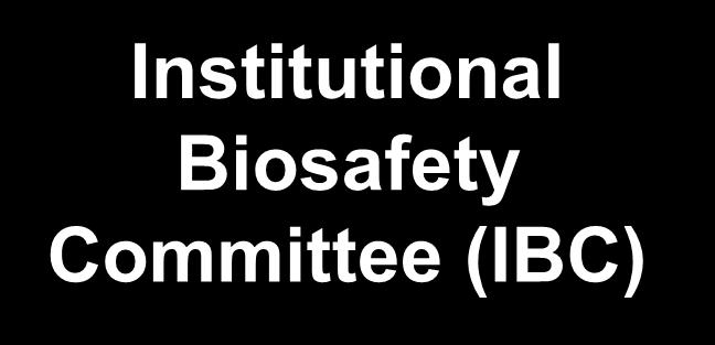 (NBC) Institutional Biosafety