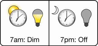 Lighting Management Strategies Scheduling: Lights automatically turn off or are dimmed at certain times of the day or based on sunrise or sunset.