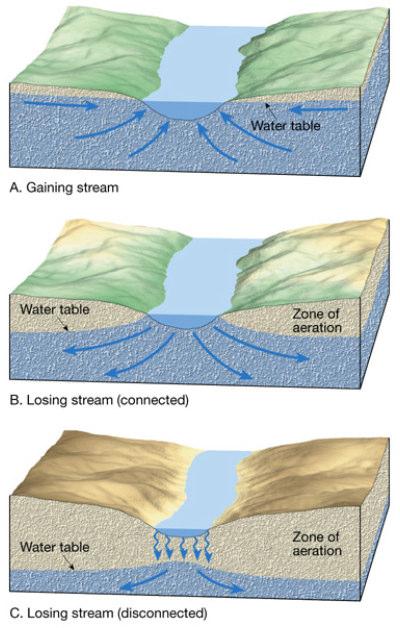 Water Table and Streams When the water table is higher in elevation than a stream, ground water flows into the steam called gaining stream