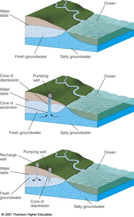 Saltwater Incursion Freshwater is less dense than saltwater and will form a lens floating atop the salty groundwater If excessive pumping occurs, a cone of depression develops in the fresh